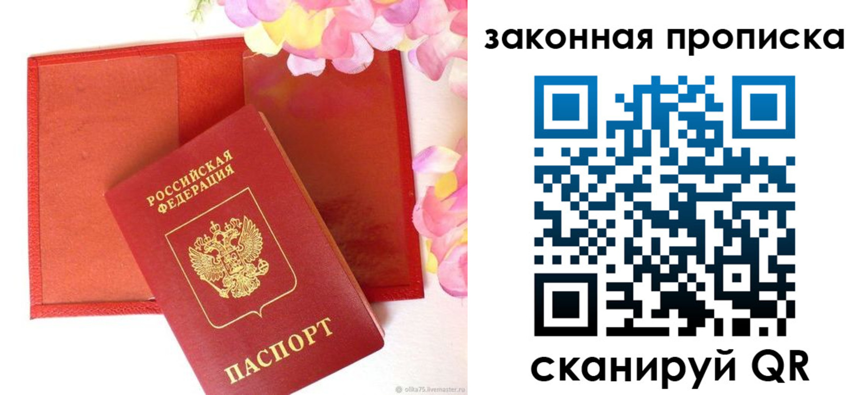 регистрация для школы в Елизово